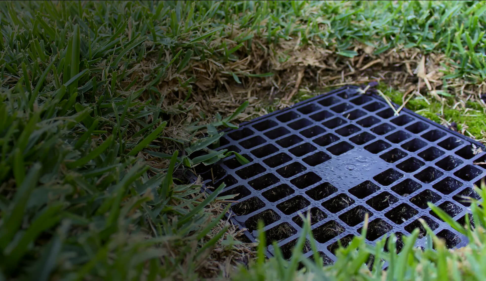 Conserva Irrigation of Kansas City backflow testing