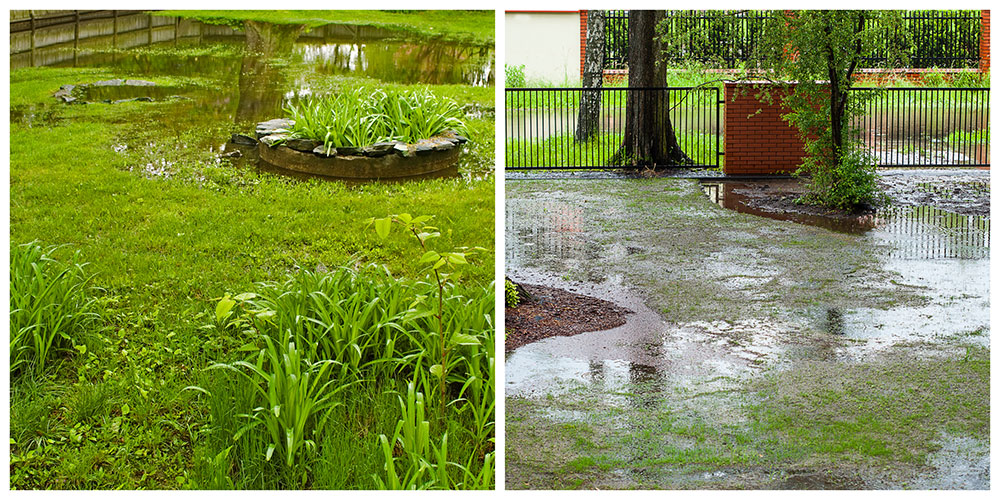 Yard Drainage Solutions in Hampton Roads, Virginia