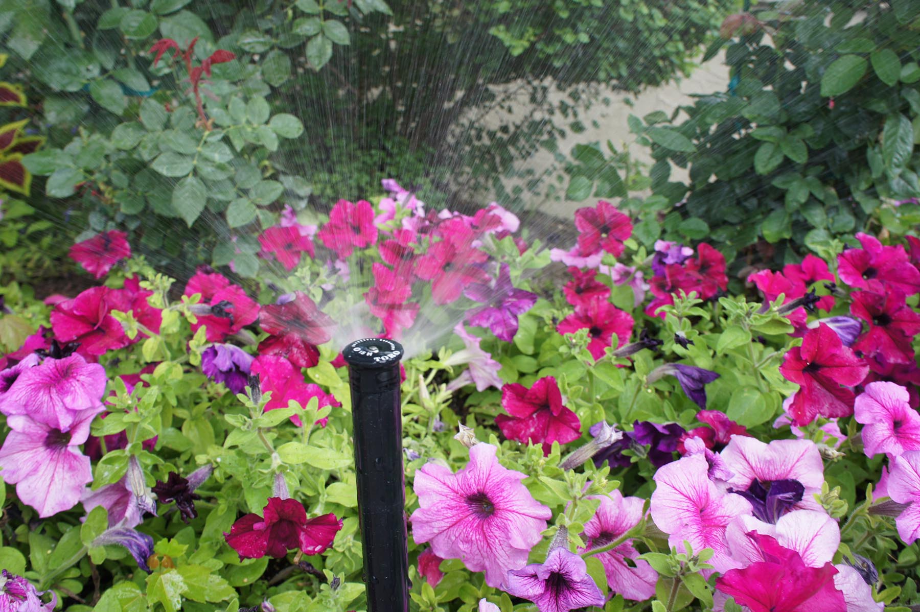 Fort Worth’s Leading Sprinkler System Company Uses WaterConserving